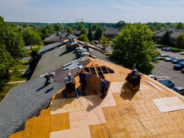 Best Flat Roof Repair Services  in Kinston, NC