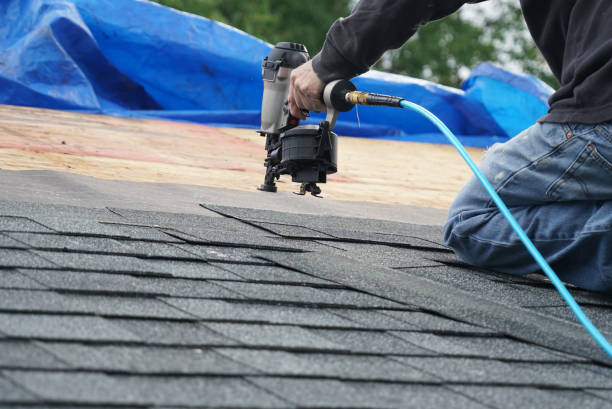 Best Storm Damage Roof Repair  in Kinston, NC